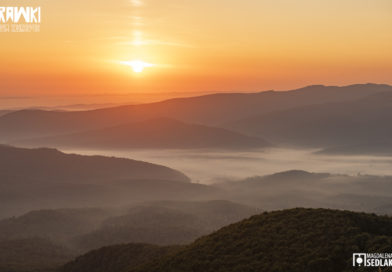 Wyniki RAWki na Surowo 2025